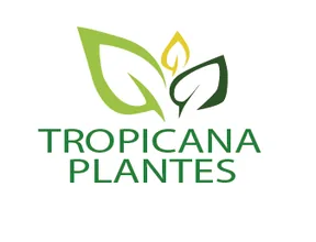 Logo client Diaaya, imprimerie Salé