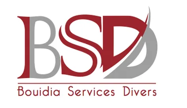 Logo client Diaaya, imprimerie Salé